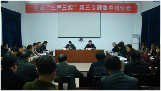 公司召開(kāi)“三嚴(yán)三實(shí)”第三專(zhuān)題集中研討會(huì)