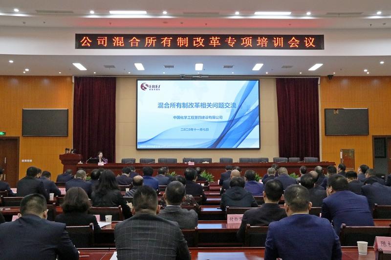 公司舉行混合所有制改革專(zhuān)項(xiàng)培訓(xùn)會(huì)