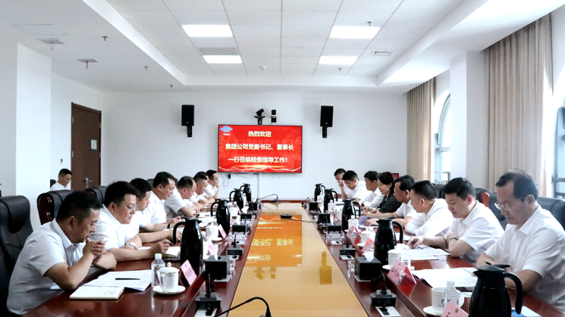 戴和根到公司調(diào)研指導工作