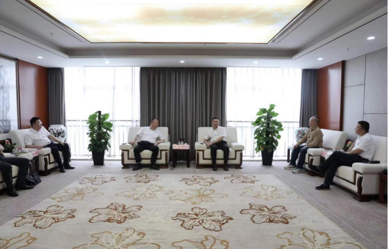 周鴻與湖南輕鹽集團黨委副書記、副董事長、總經(jīng)理李志勇舉行會談