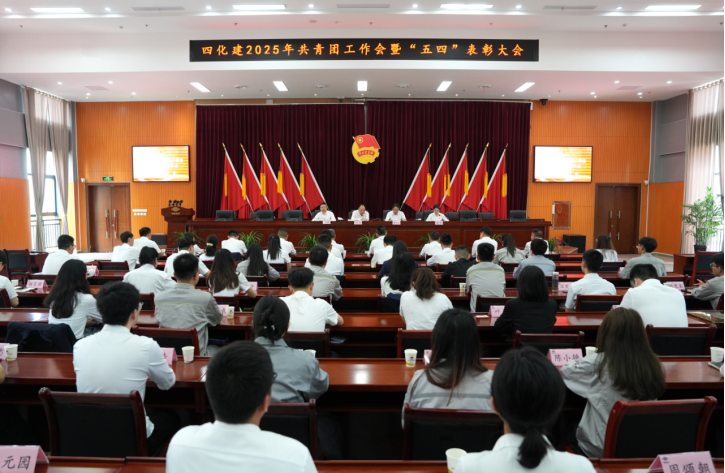 中國化學四化建召開2025年共青團工作會暨“五四”表彰大會